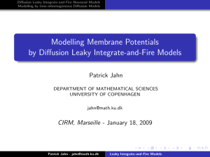 Modelling Membrane Potentials by Diffusion Leaky Integrate-and-Fire Models Patrick Jahn