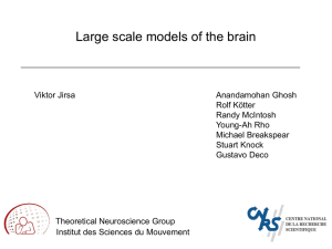 Large scale models of the brain