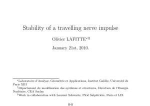 Stability of a travelling nerve impulse Olivier LAFITTE January 21st, 2010.