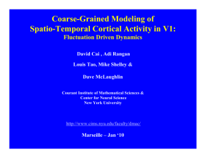 Coarse-Grained Modeling of Spatio-Temporal Cortical Activity in V1: Fluctuation Driven Dynamics