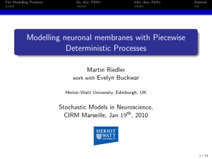 Modelling neuronal membranes with Piecewise Deterministic Processes Martin Riedler Evelyn Buckwar