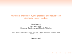 Multiscale analysis of hybrid processes and reduction of stochastic neuron models.