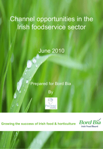 Channel opportunities in the Irish foodservice sector June 2010 Prepared for Bord Bia