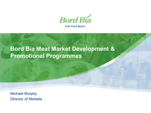 Bord Bia Meat Market Development &amp; Promotional Programmes Michael Murphy Director of Markets