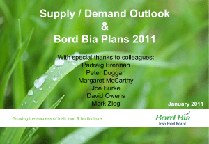 Supply / Demand Outlook &amp; Bord Bia Plans 2011