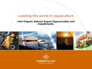 Leading the world in aquaculture Irish Organic Salmon Export Opportunities and impediments.