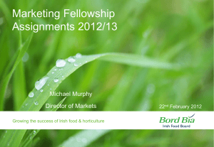 Marketing Fellowship Assignments 2012/13 Michael Murphy Director of Markets