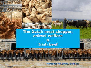 The Dutch meat shopper, animal welfare &amp; Irish beef