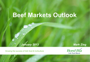 Beef Markets Outlook Mark Zieg January 2013