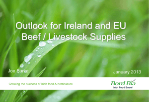Outlook for Ireland and EU Beef / Livestock Supplies Joe Burke January 2013