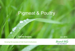 Pigmeat &amp; Poultry David Owens Jan 2013