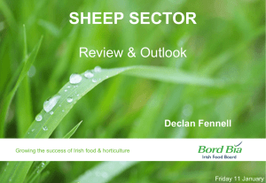 SHEEP SECTOR Review &amp; Outlook Declan Fennell Friday 11 January