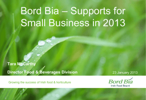 – Supports for Bord Bia Small Business in 2013 Tara McCarthy
