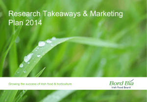 Research Takeaways &amp; Marketing Plan 2014