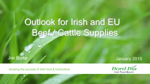 Outlook for Irish and EU Beef / Cattle Supplies  Joe Burke