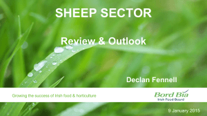 SHEEP SECTOR  Review &amp; Outlook Declan Fennell