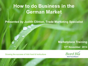 How to do Business in the German Market