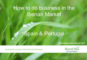 How to do business in the Iberian Market  Spain &amp; Portugal