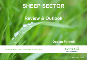 SHEEP SECTOR Review &amp; Outlook Declan Fennell 10 January 2014