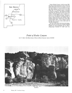 Point of Rocks Canyon, which is near NM-