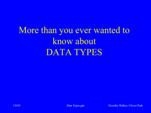 More than you ever wanted to know about DATA TYPES