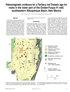 Paleomagnetic evidence for a Tertiary not Triassic age for