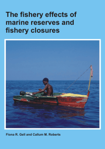 The fishery effects of marine reserves and fishery closures