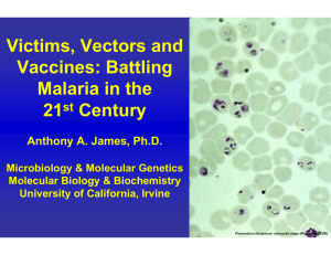 Victims, Vectors and Vaccines: Battling Malaria in the 21