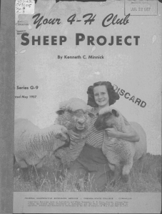 SHEEP PROJECT 4_'d '3owt 3747