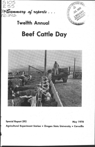 5 3 5 5 Beef Cattle Day