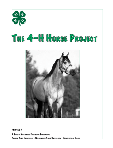 T 4-h h P he