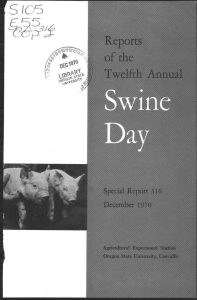Swine Day