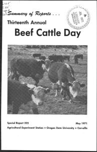 Beef Cattle Day Room . ,),›cltatetozv of Thirteenth Annual