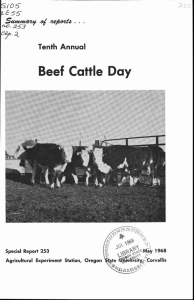 Beef Cattle Day Tenth Annual : 1