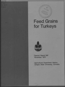 Feed Grains for Turkeys ',Special Report 397 November 1973