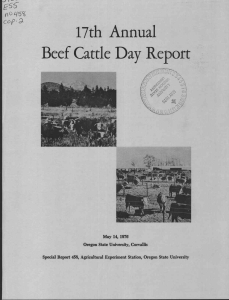 17th Annual Beef Cattle Day Report