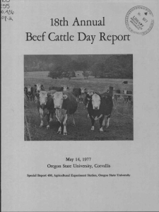 18th Annual Beef Cattle Day Report May 14, 1977 Oregon State University, Corvallis