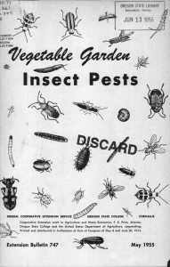 Insect Pests Ve9zaite 94,4deft .7+1 JUN 13 1955