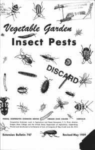 Insect Pests Ve9e,tiate