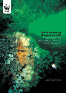 Marine Biodiversity Hotspots in the UK A report identifiying and protecting areas for