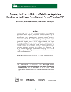 Assessing the Expected Effects of Wildfire on Vegetation