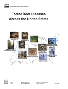 Forest Root Diseases Across the United States United States Department of Agriculture Forest