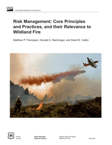 Risk Management: Core Principles and Practices, and their Relevance to Wildland Fire