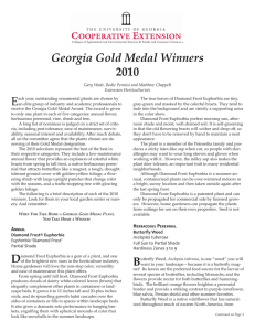 Georgia Gold Medal Winners 2010 E