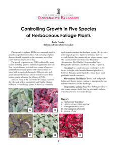 Controlling Growth in Five Species of Herbaceous Foliage Plants Bodie Pennisi