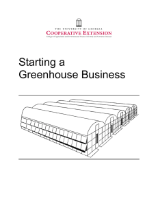 Starting a Greenhouse Business