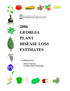 2006 GEORGIA PLANT DISEASE