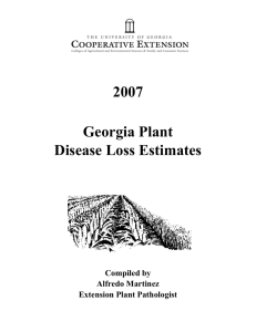 2007 Georgia Disease