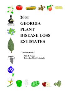 2004 GEORGIA PLANT DISEASE