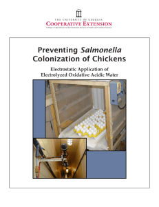 Salmonella Colonization of Chickens Electrostatic Application of Electrolyzed Oxidative Acidic Water